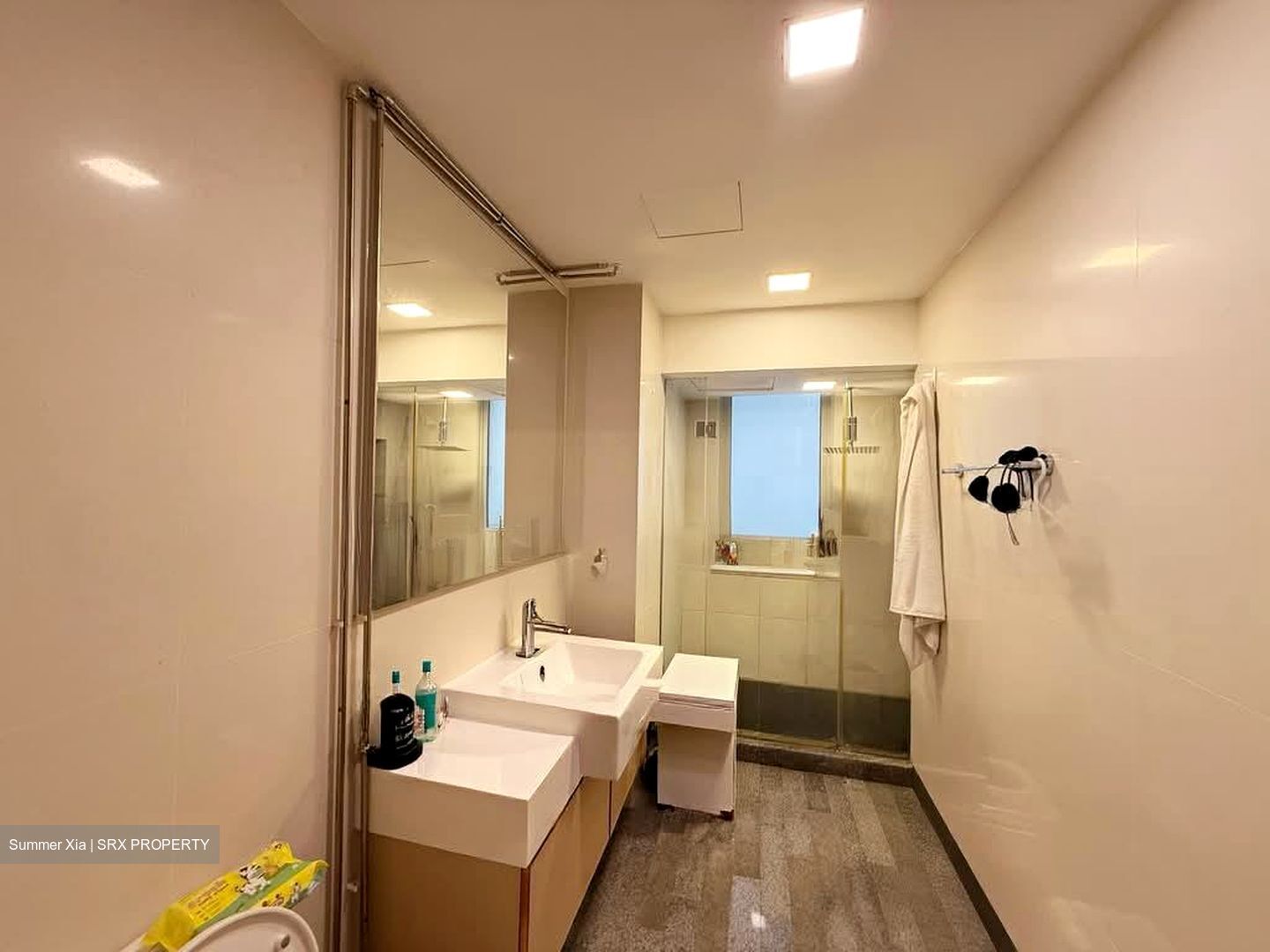 8 @ Mount Sophia (D9), Condominium #593635291